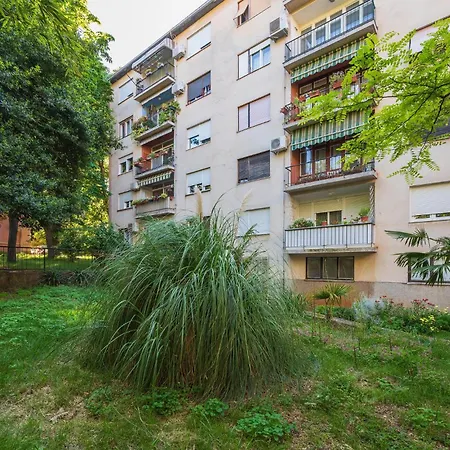 Amazing In With Wifi * Pula